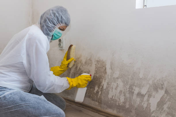 Certified Mold Removal in Lakewood, SC