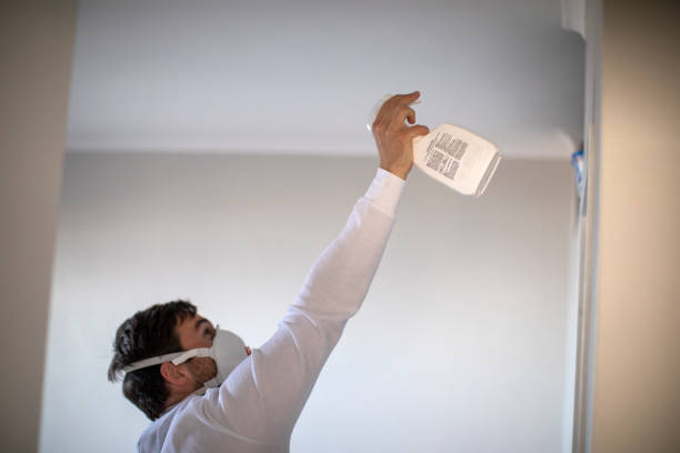 Best Mold Damage Repair  in Lakewood, SC